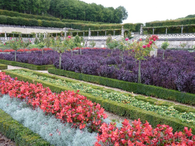 По садам и замкам большой компанией или какими могут быть парки