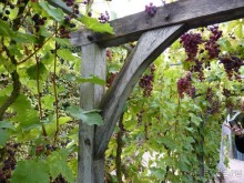 По садам и замкам большой компанией или какими могут быть парки