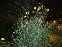 По садам и замкам большой компанией или какими могут быть парки