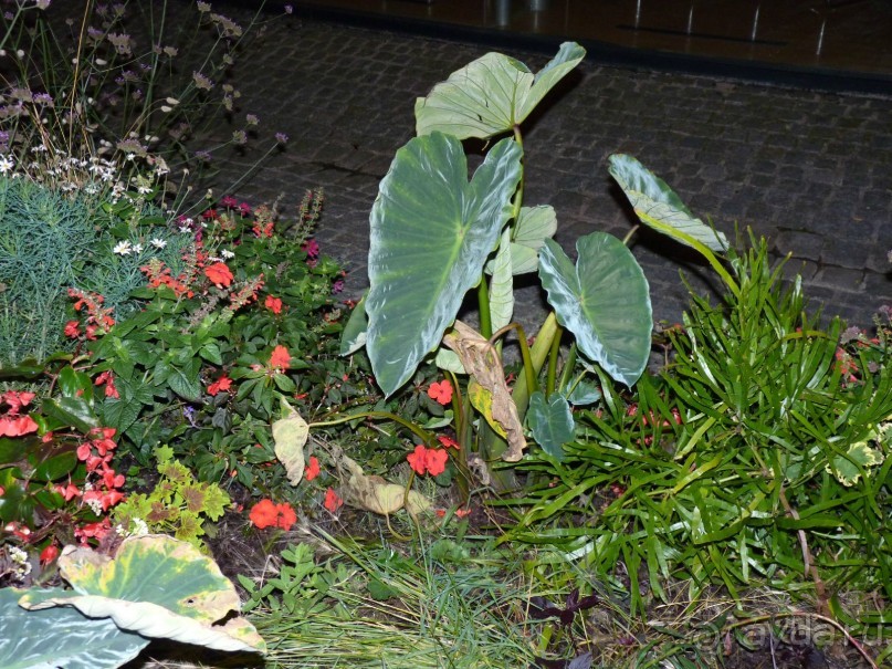 По садам и замкам большой компанией или какими могут быть парки