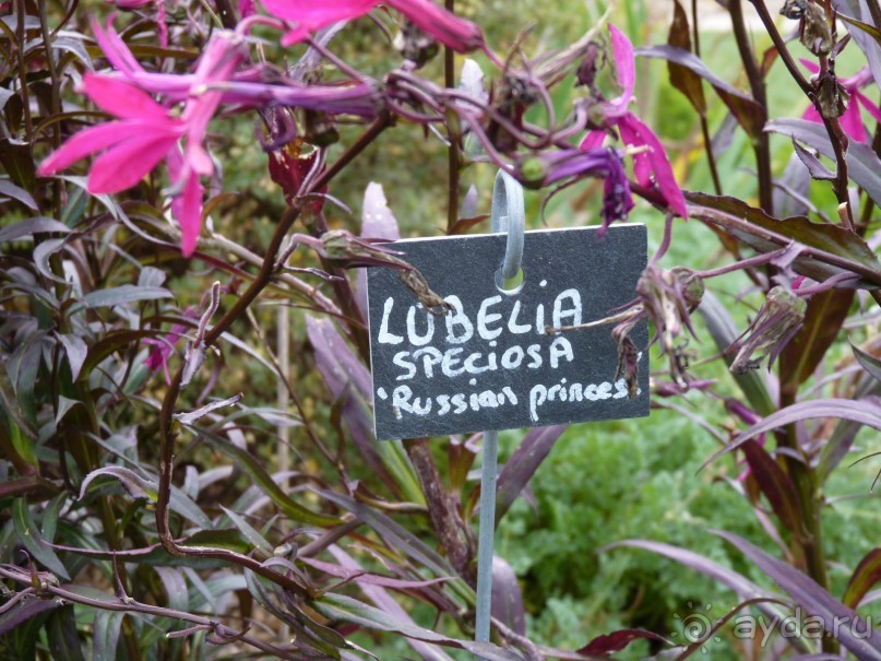 По садам и замкам большой компанией или какими могут быть парки