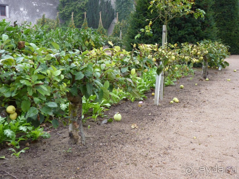 По садам и замкам большой компанией или какими могут быть парки