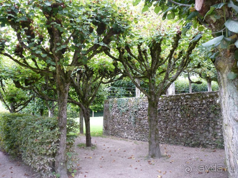 По садам и замкам большой компанией или какими могут быть парки