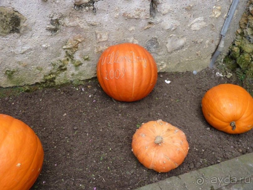 По садам и замкам большой компанией или какими могут быть парки