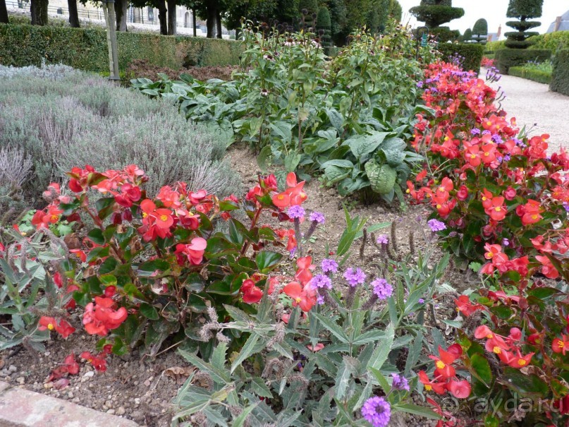 По садам и замкам большой компанией или какими могут быть парки