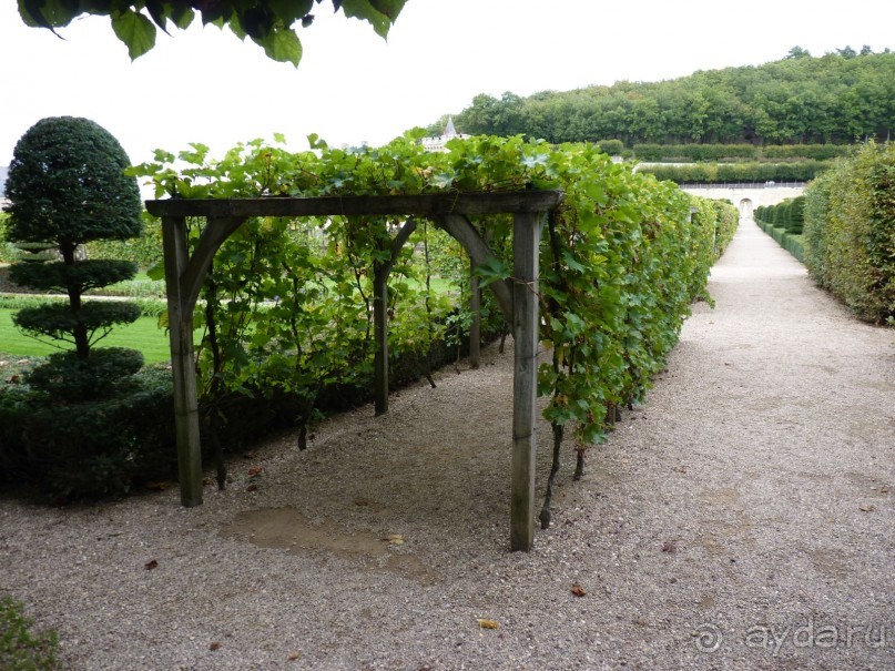 По садам и замкам большой компанией или какими могут быть парки