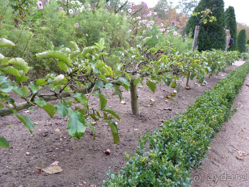 По садам и замкам большой компанией или какими могут быть парки