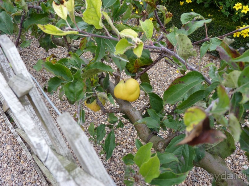 По садам и замкам большой компанией или какими могут быть парки