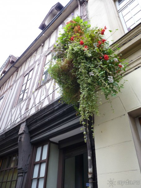 По садам и замкам большой компанией или какими могут быть парки