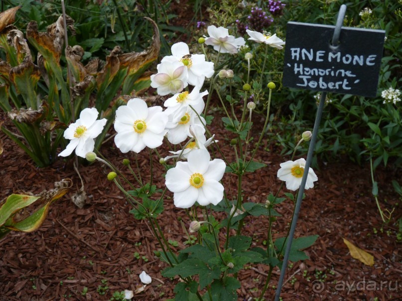 По садам и замкам большой компанией или какими могут быть парки