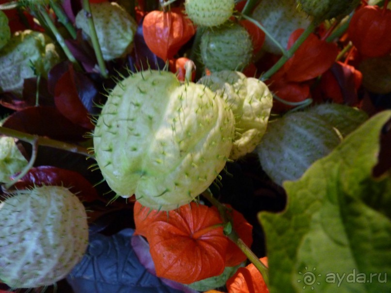 По садам и замкам большой компанией или какими могут быть парки