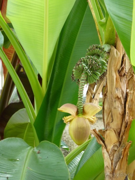 По садам и замкам большой компанией или какими могут быть парки