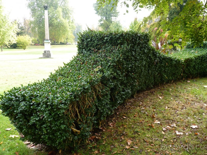 По садам и замкам большой компанией или какими могут быть парки