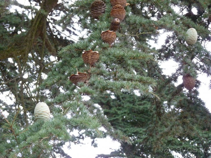 По садам и замкам большой компанией или какими могут быть парки