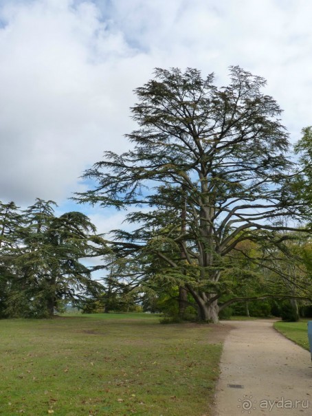 По садам и замкам большой компанией или какими могут быть парки