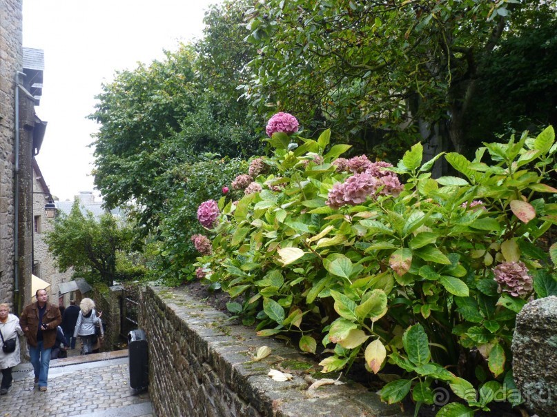 По садам и замкам большой компанией или какими могут быть парки