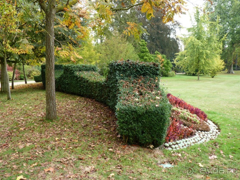 По садам и замкам большой компанией или какими могут быть парки