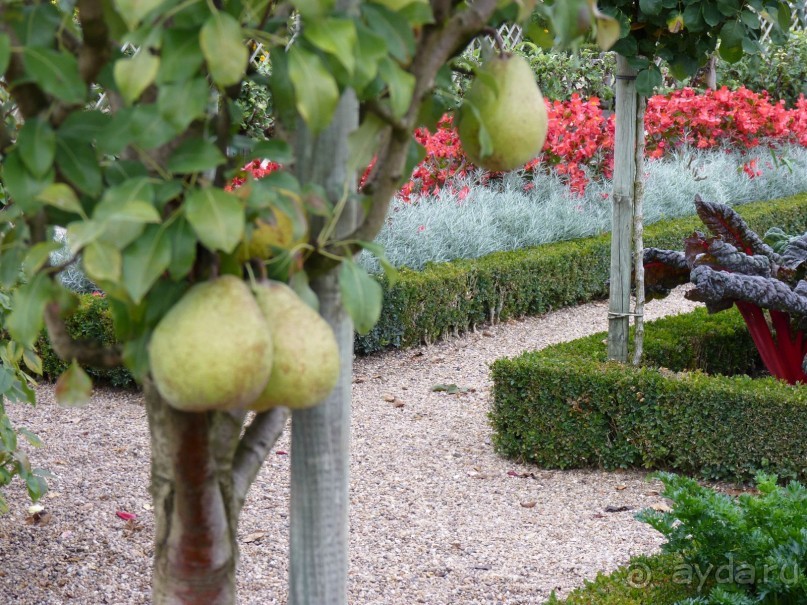 По садам и замкам большой компанией или какими могут быть парки