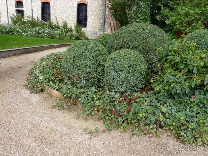 По садам и замкам большой компанией или какими могут быть парки