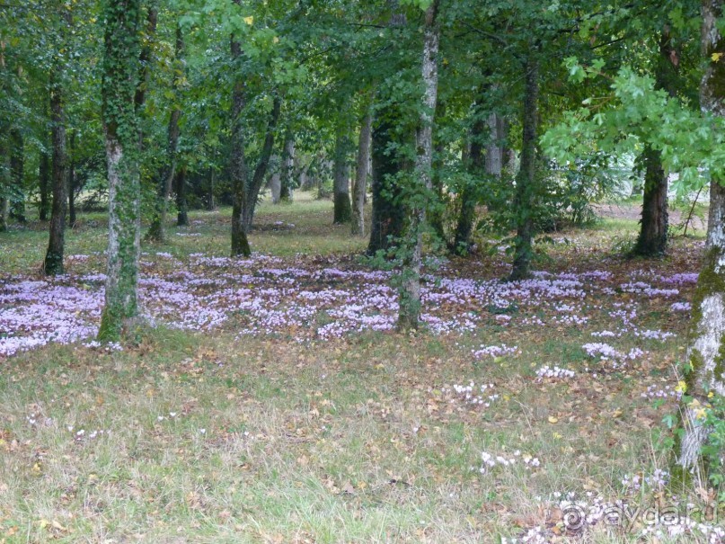 По садам и замкам большой компанией или какими могут быть парки