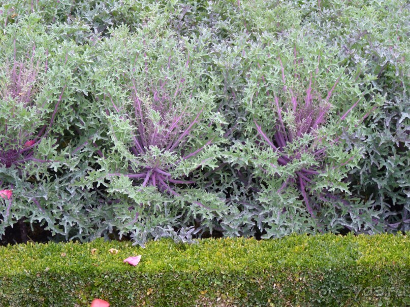 По садам и замкам большой компанией или какими могут быть парки