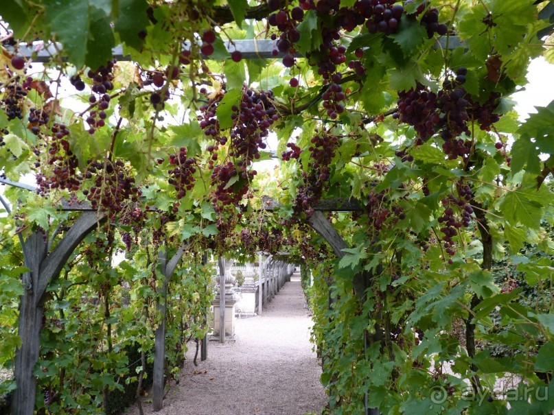 По садам и замкам большой компанией или какими могут быть парки