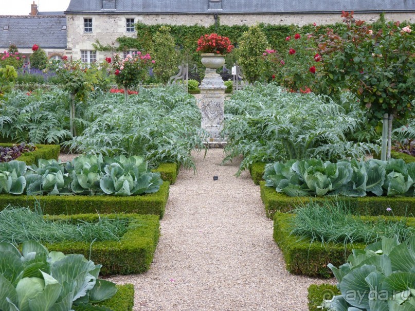 По садам и замкам большой компанией или какими могут быть парки