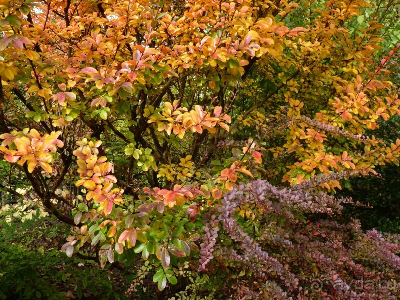 По садам и замкам большой компанией или какими могут быть парки