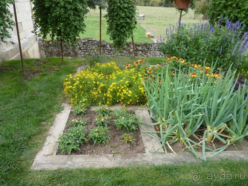По садам и замкам большой компанией или какими могут быть парки