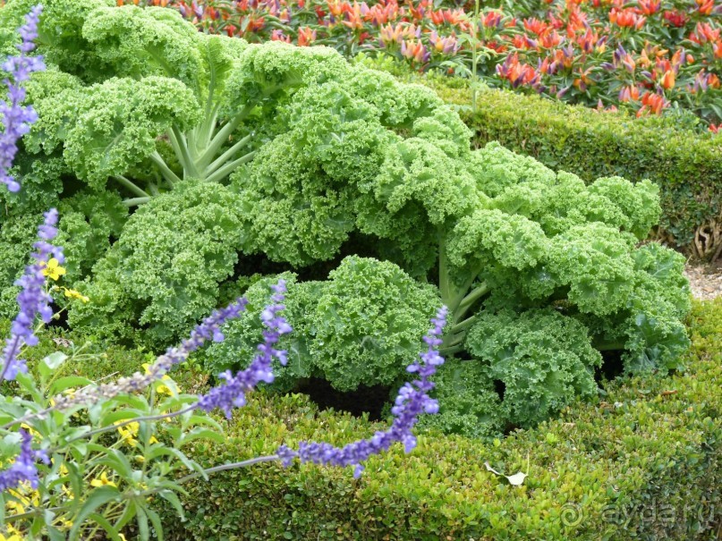 По садам и замкам большой компанией или какими могут быть парки