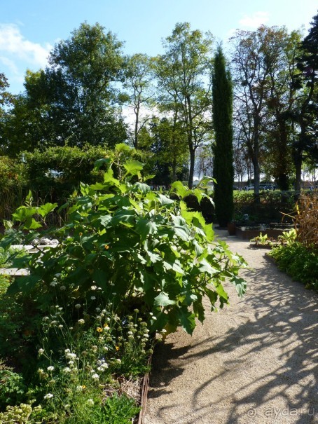 По садам и замкам большой компанией или какими могут быть парки