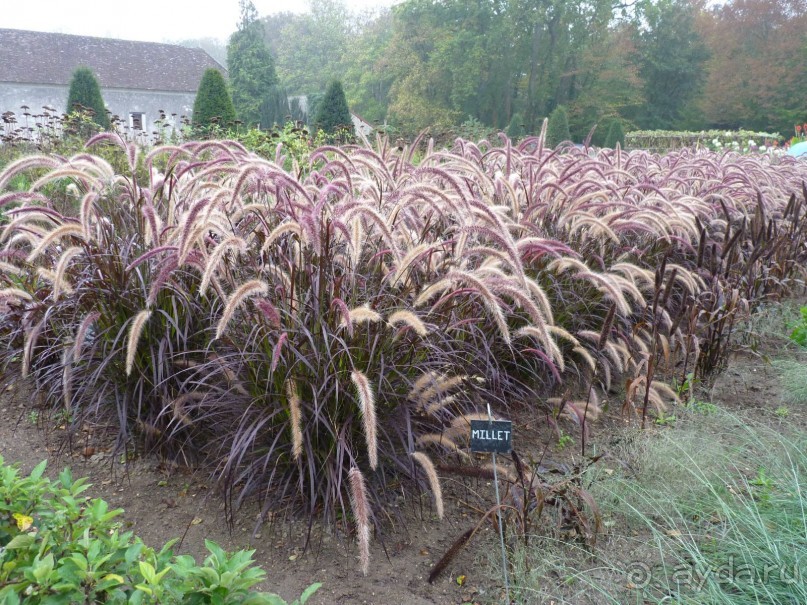 По садам и замкам большой компанией или какими могут быть парки