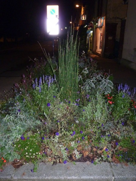 По садам и замкам большой компанией или какими могут быть парки