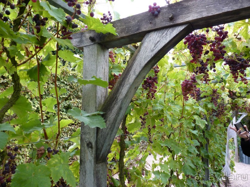 По садам и замкам большой компанией или какими могут быть парки