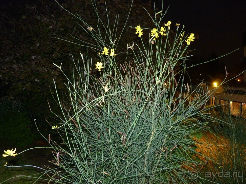 По садам и замкам большой компанией или какими могут быть парки