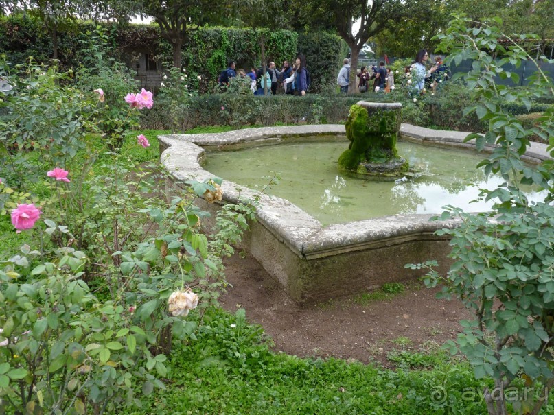 Путешествие перед Рождеством, на поезде из Москвы в Рим и далее с остановками....  четыре дня в Риме