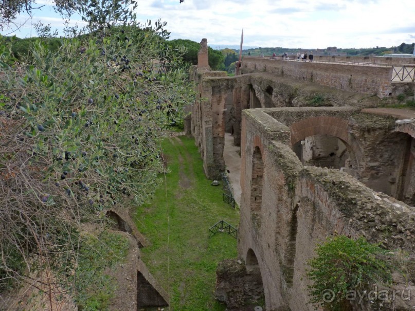 Путешествие перед Рождеством, на поезде из Москвы в Рим и далее с остановками....  четыре дня в Риме