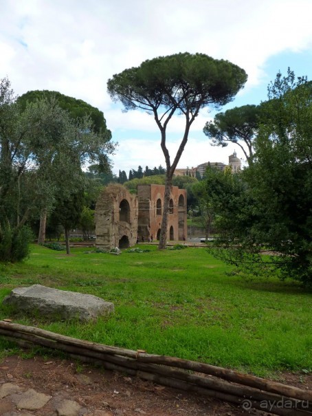 Путешествие перед Рождеством, на поезде из Москвы в Рим и далее с остановками....  четыре дня в Риме