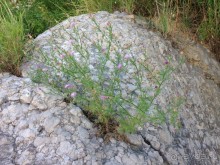 Еще одно путешествие с посещением ....... и  отдыхом в Хорватии. Часть 6