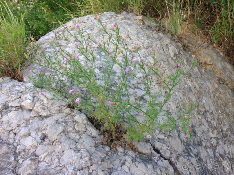 Еще одно путешествие с посещением ....... и  отдыхом в Хорватии. Часть 6