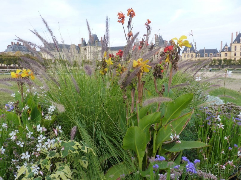 По Садам и Замкам большой компанией