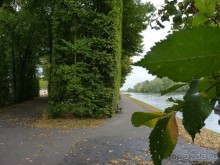 По Садам и Замкам большой компанией