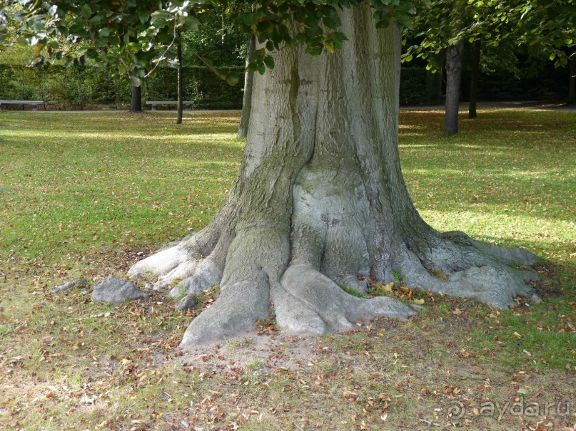По Садам и Замкам большой компанией