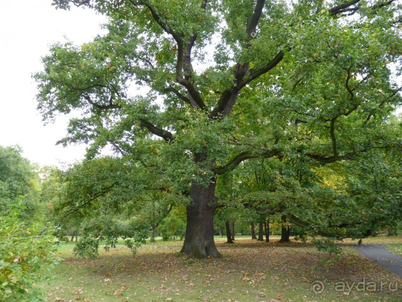 По Садам и Замкам большой компанией