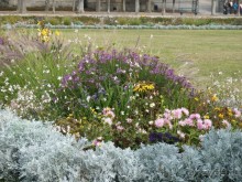 По Садам и Замкам большой компанией