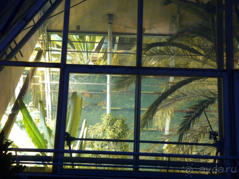 По Садам и Замкам большой компанией