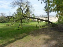 По Садам и Замкам большой компанией