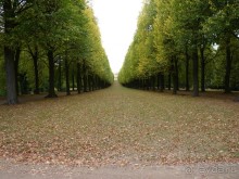 По Садам и Замкам большой компанией