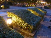 По Садам и Замкам большой компанией