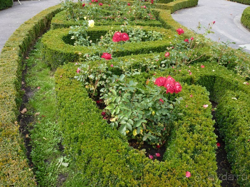 По Садам и Замкам большой компанией